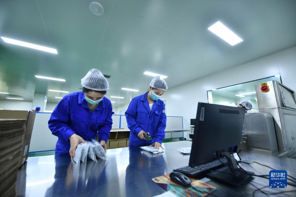 9877小游戏打不了